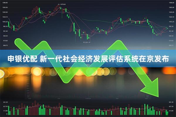 申银优配 新一代社会经济发展评估系统在京发布