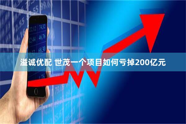 溢诚优配 世茂一个项目如何亏掉200亿元
