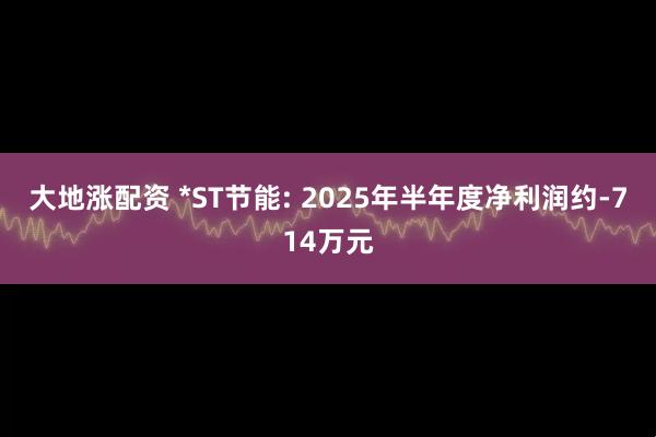 大地涨配资 *ST节能: 2025年半年度净利润约-714万元
