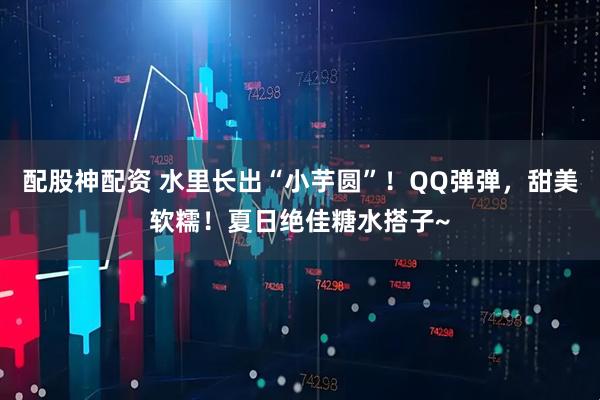 配股神配资 水里长出“小芋圆”！QQ弹弹，甜美软糯！夏日绝佳糖水搭子~