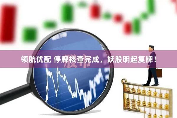 领航优配 停牌核查完成，妖股明起复牌！